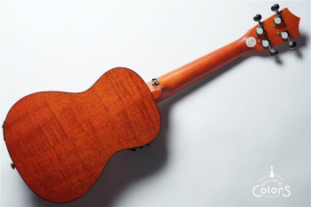 Exotic Mahogany Concert Ukulele w/EQ